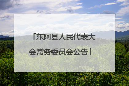 东阿县人民代表大会常务委员会公告