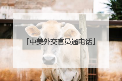 中美外交官员通电话
