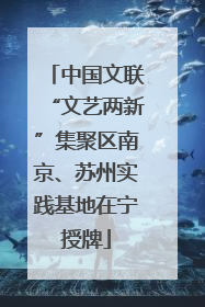 中国文联“文艺两新”集聚区南京、苏州实践基地在宁授牌