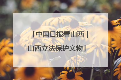 中国日报看山西｜山西立法保护文物