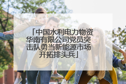 中国水利电力物资华南有限公司党员突击队勇当新能源市场开拓排头兵