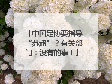 中国足协要指导“苏超”？有关部门：没有的事！