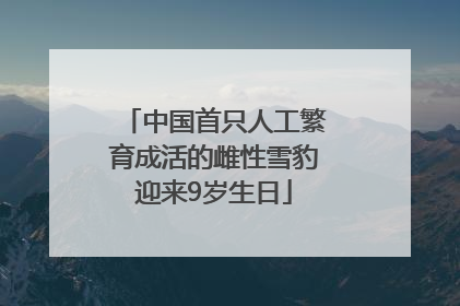 中国首只人工繁育成活的雌性雪豹迎来9岁生日