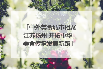 中外美食城市相聚江苏扬州 开拓中华美食传承发展新路