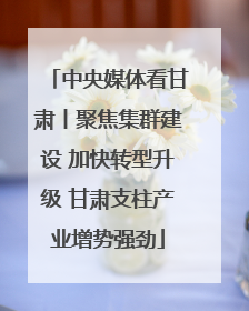 中央媒体看甘肃丨聚焦集群建设 加快转型升级 甘肃支柱产业增势强劲