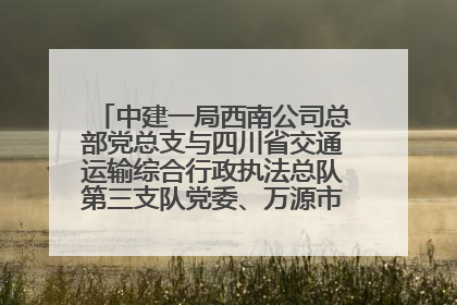 中建一局西南公司总部党总支与四川省交通运输综合行政执法总队第三支队党委、万源市草坝镇莲花院村党支部开展党建联建