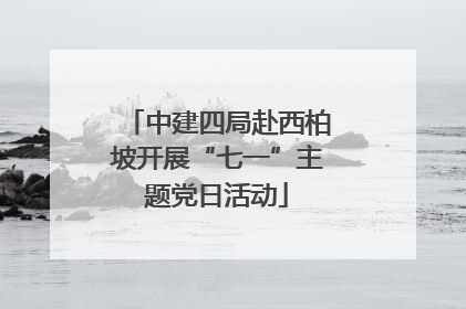 中建四局赴西柏坡开展“七一”主题党日活动