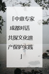 中意专家成都对话 共探文化遗产保护实践