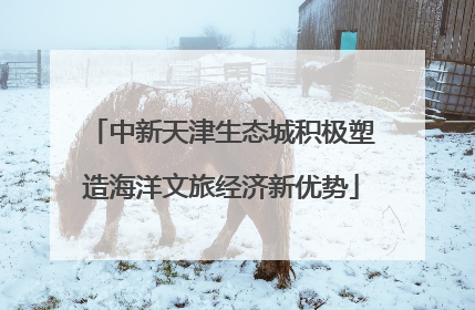 中新天津生态城积极塑造海洋文旅经济新优势