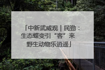 中新武威观｜民勤：生态蝶变引“客”来 野生动物乐逍遥