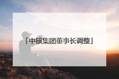 中核集团董事长调整