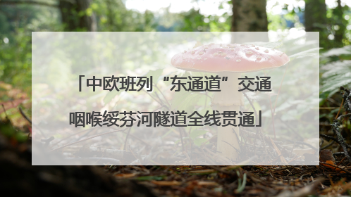 中欧班列“东通道”交通咽喉绥芬河隧道全线贯通