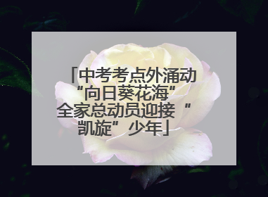 中考考点外涌动“向日葵花海” 全家总动员迎接“凯旋”少年