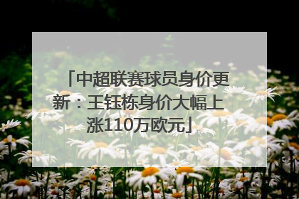中超联赛球员身价更新：王钰栋身价大幅上涨110万欧元