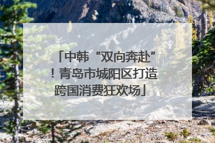 中韩“双向奔赴”！青岛市城阳区打造跨国消费狂欢场