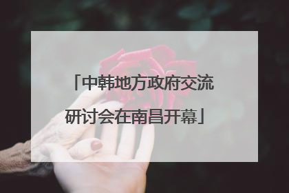 中韩地方政府交流研讨会在南昌开幕