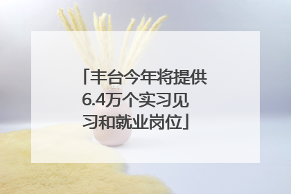 丰台今年将提供6.4万个实习见习和就业岗位
