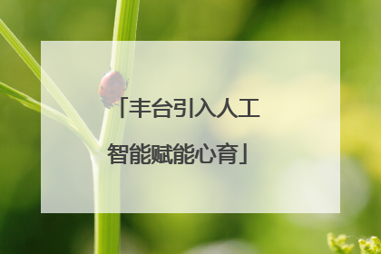 丰台引入人工智能赋能心育