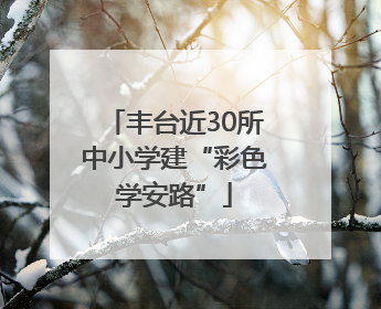 丰台近30所中小学建“彩色学安路”