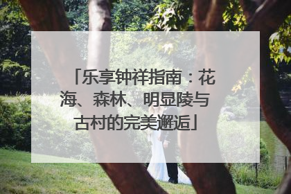 乐享钟祥指南：花海、森林、明显陵与古村的完美邂逅
