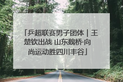乒超联赛男子团体｜王楚钦出战 山东魏桥·向尚运动胜四川丰谷