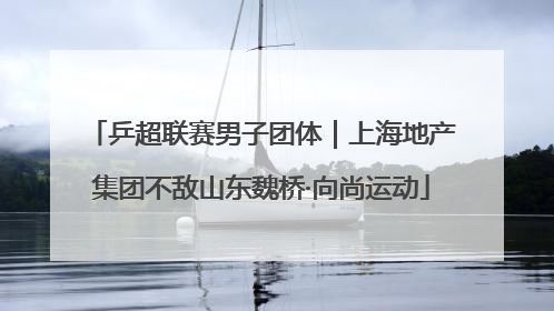 乒超联赛男子团体｜上海地产集团不敌山东魏桥·向尚运动