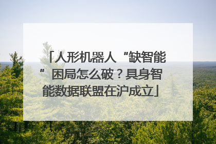 人形机器人“缺智能”困局怎么破？具身智能数据联盟在沪成立