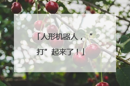 人形机器人，“打”起来了！