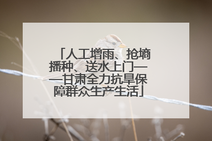 人工增雨、抢墒播种、送水上门——甘肃全力抗旱保障群众生产生活