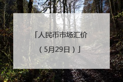 人民币市场汇价（5月29日）