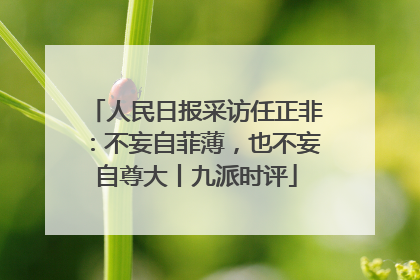 人民日报采访任正非：不妄自菲薄，也不妄自尊大丨九派时评