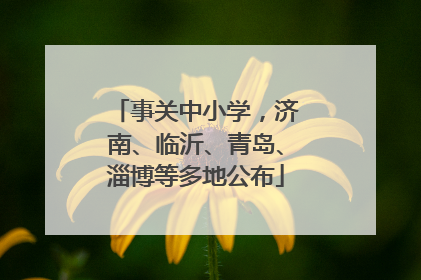事关中小学，济南、临沂、青岛、淄博等多地公布