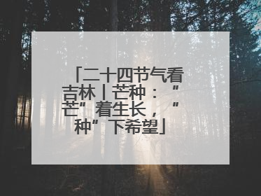 二十四节气看吉林丨芒种：“芒”着生长，“种”下希望