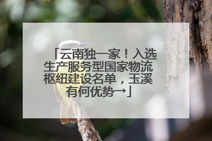 云南独一家！入选生产服务型国家物流枢纽建设名单，玉溪有何优势→