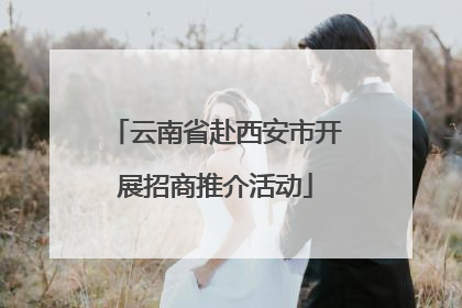 云南省赴西安市开展招商推介活动