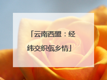 云南西盟：经纬交织佤乡情