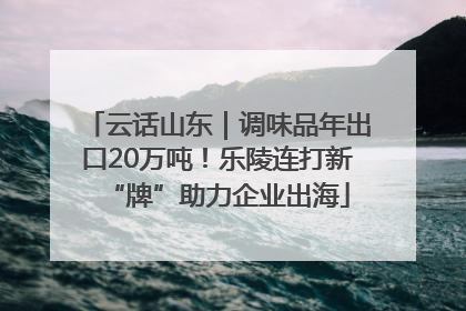 云话山东｜调味品年出口20万吨！乐陵连打新“牌”助力企业出海