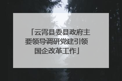 云霄县委县政府主要领导调研党建引领国企改革工作