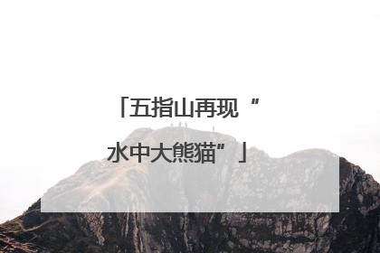 五指山再现“水中大熊猫”