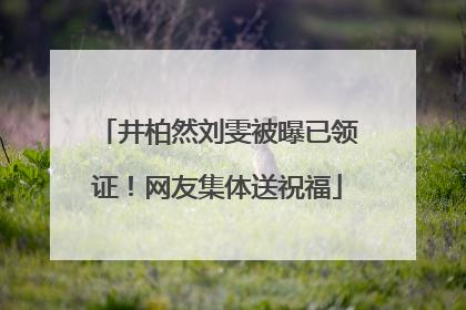 井柏然刘雯被曝已领证！网友集体送祝福