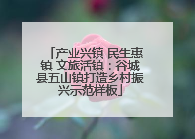 产业兴镇 民生惠镇 文旅活镇：谷城县五山镇打造乡村振兴示范样板