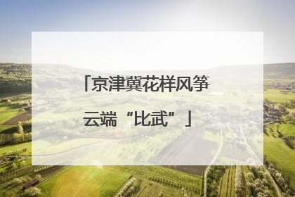 京津冀花样风筝云端“比武”