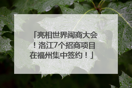亮相世界闽商大会！洛江7个招商项目在福州集中签约！