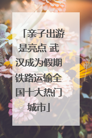 亲子出游是亮点 武汉成为假期铁路运输全国十大热门城市