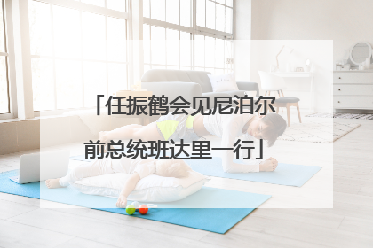 任振鹤会见尼泊尔前总统班达里一行