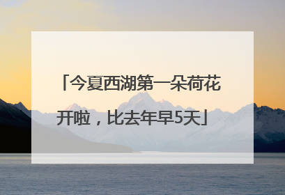 今夏西湖第一朵荷花开啦，比去年早5天