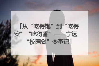 从“吃得饱”到“吃得安”“吃得香”——宁远“校园餐”变革记