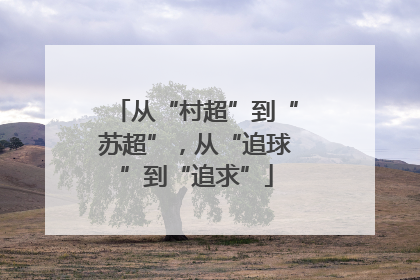 从“村超”到“苏超”，从“追球”到“追求”