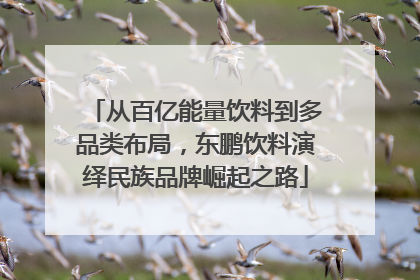 从百亿能量饮料到多品类布局，东鹏饮料演绎民族品牌崛起之路