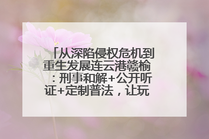 从深陷侵权危机到重生发展连云港赣榆：刑事和解+公开听证+定制普法，让玩具公司回到正轨